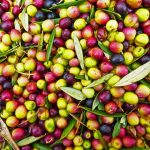 olives-1119500_640