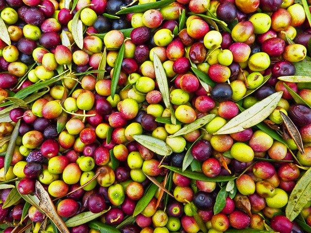 olives-1119500_640